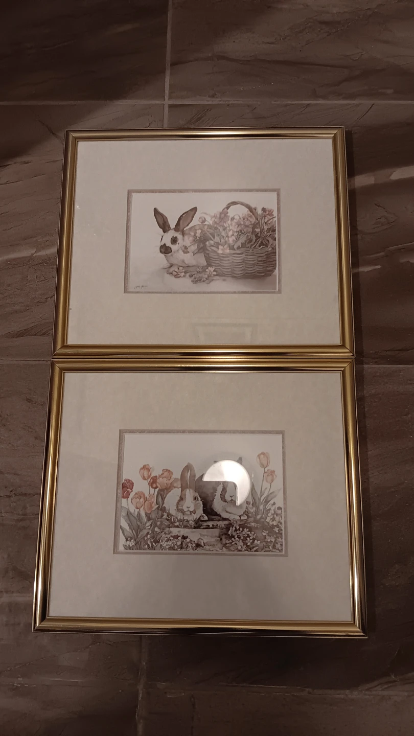 Two Jodi Jensen Water Colour Rabbit Prints/Matted and Framed
