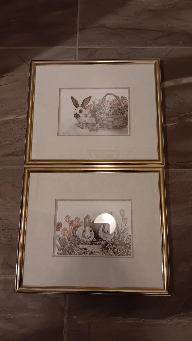 Two Jodi Jensen Water Colour Rabbit Prints/Matted and Framed