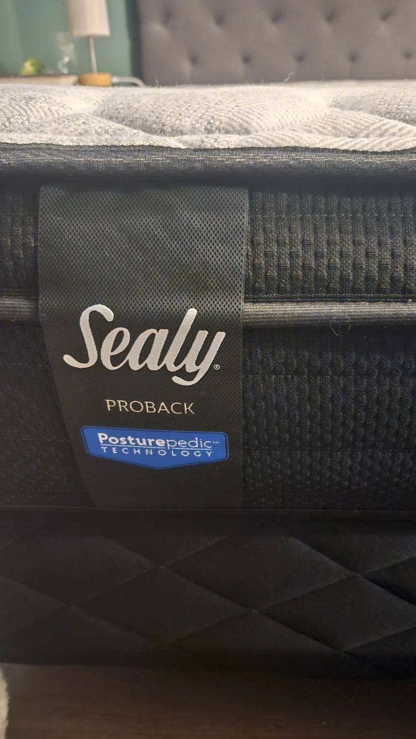 Sealy Posturepedic ProBack Mattress - photo 2