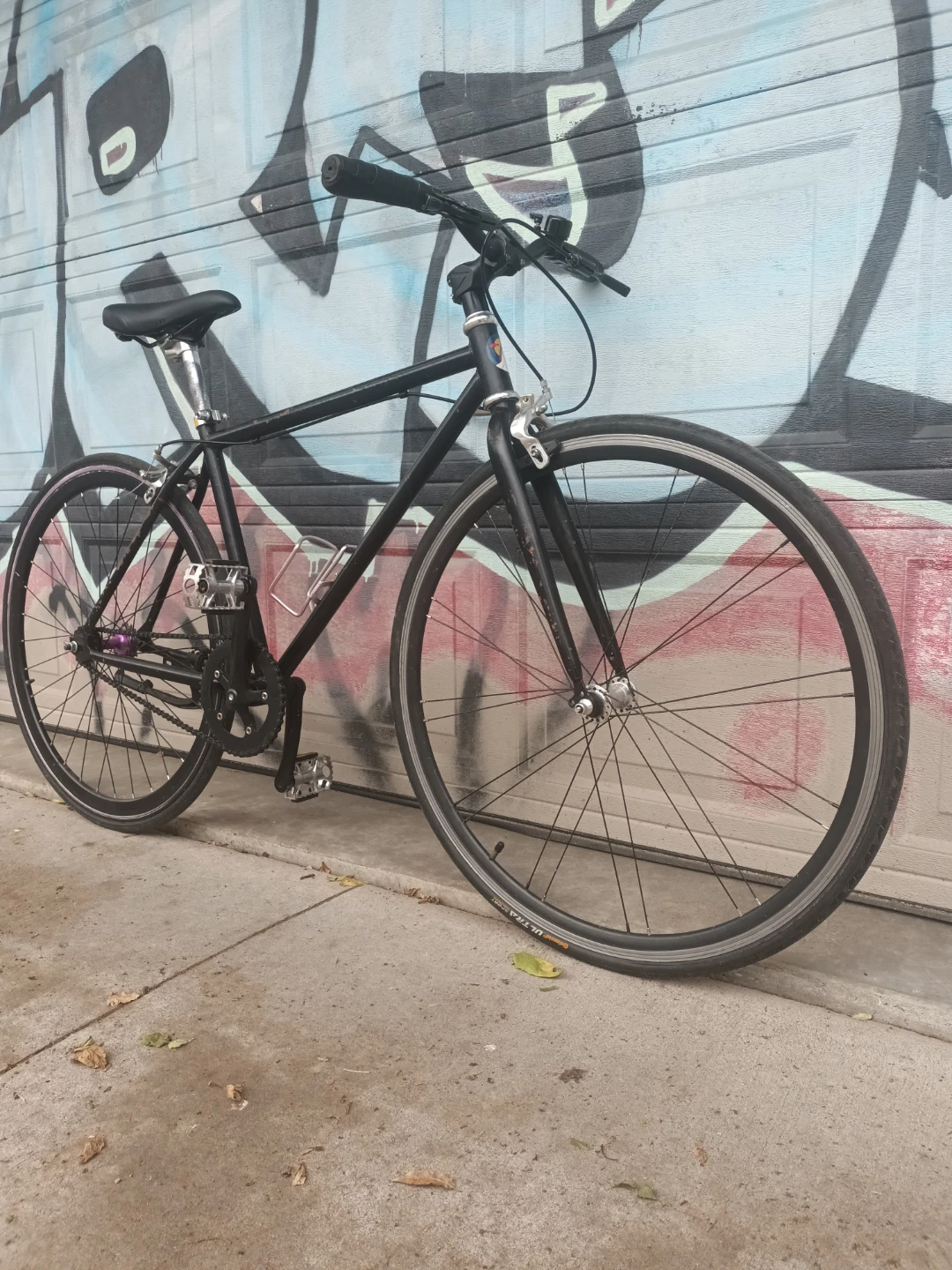 Single Speed Bike - photo 2