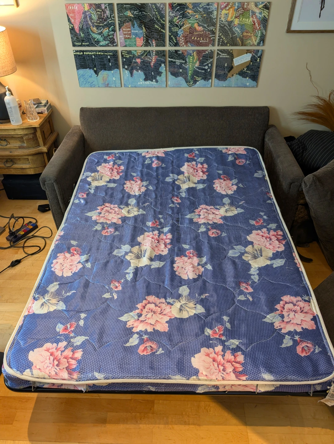 Pullout Sofa - Queen Size - photo 2