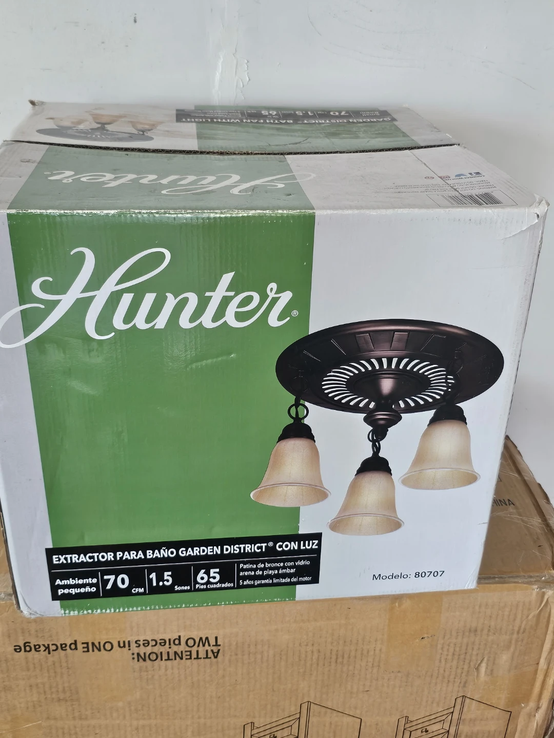 Hunter 80707 Garden District Flush Mount Light Fixture