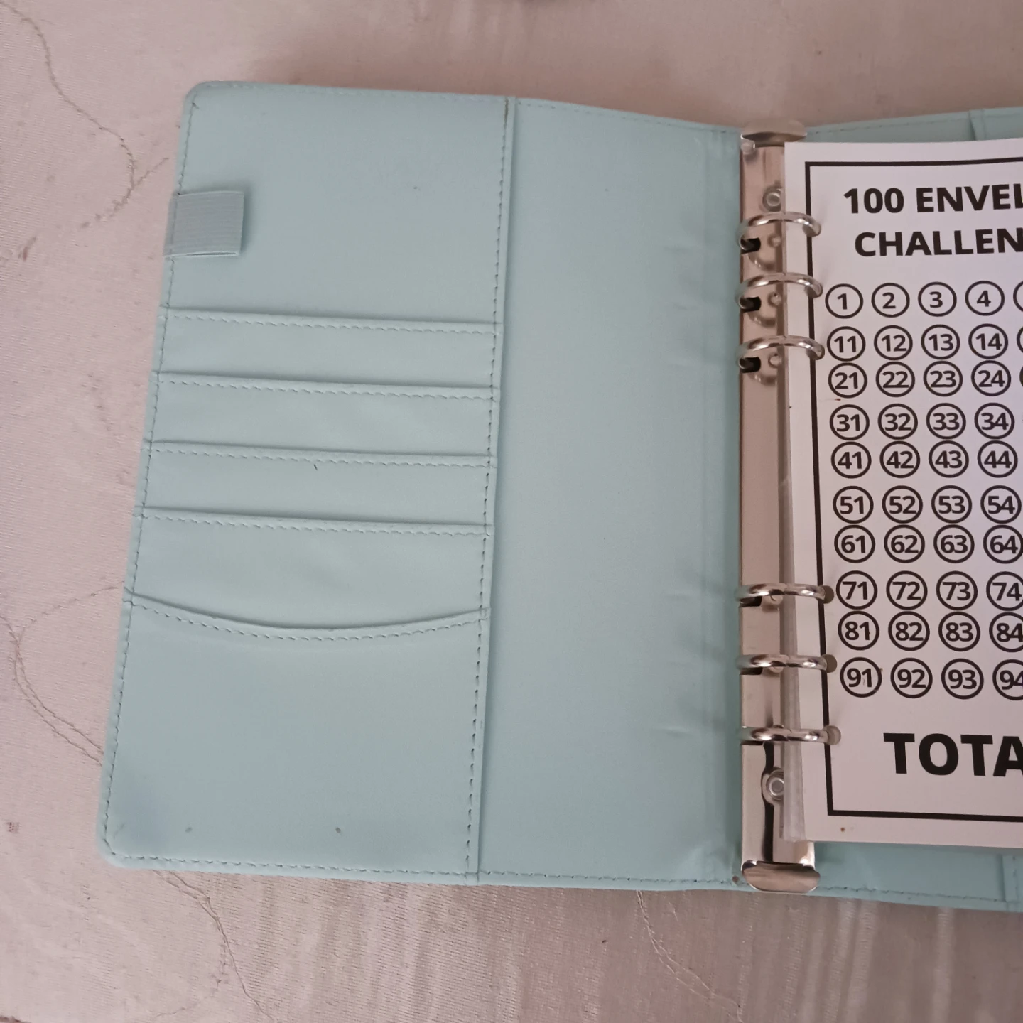 100 Envelope Savings Challenge Binder - photo 4
