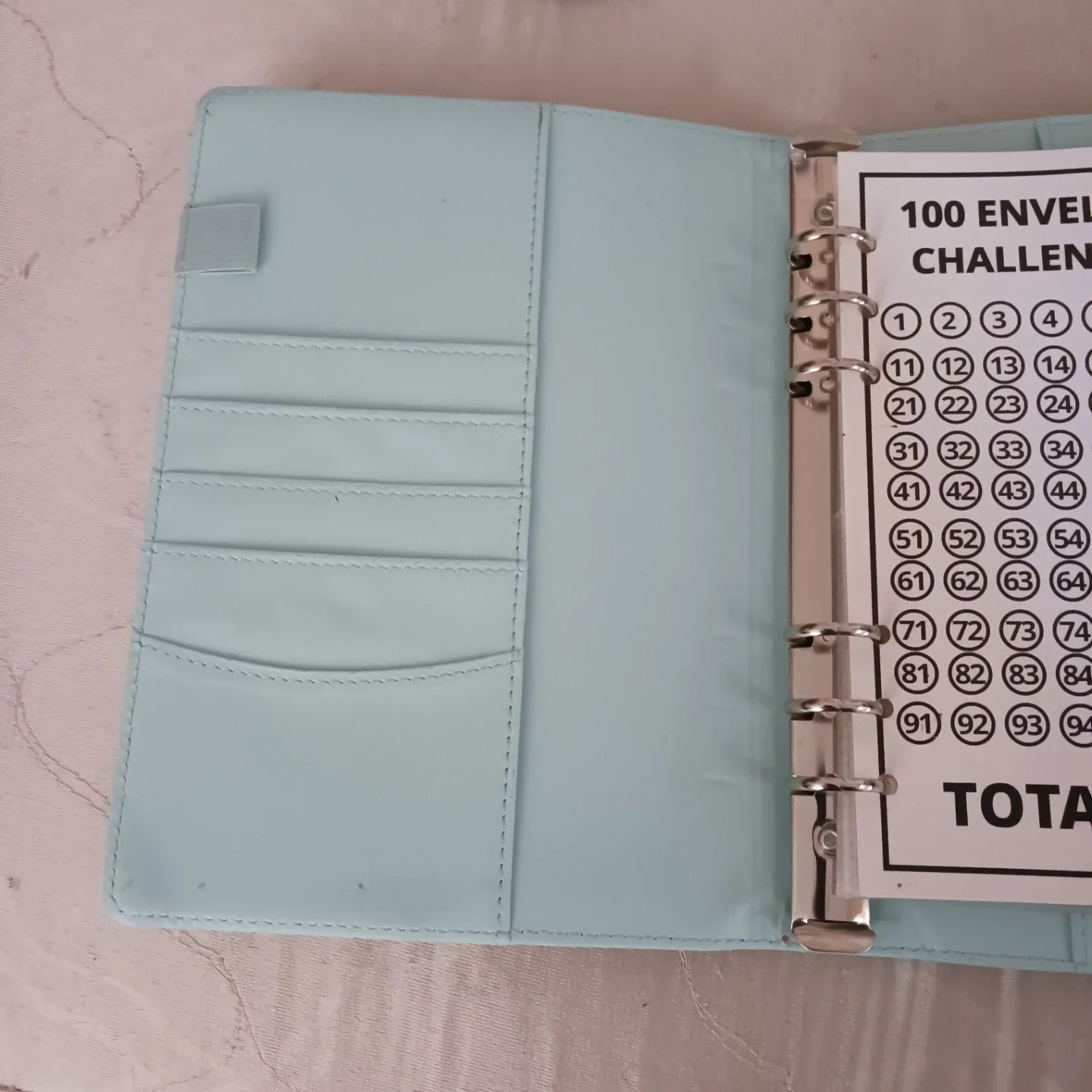 100 Envelope Savings Challenge Binder - photo 4