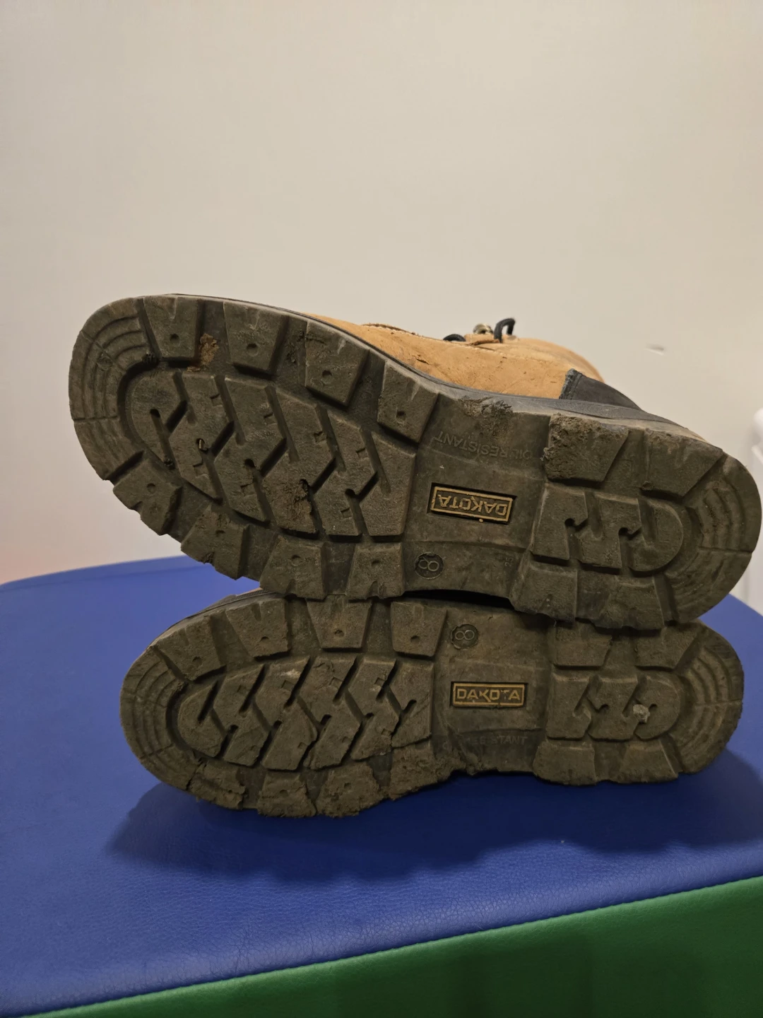 Ladies 8 Dakota Workpro Series Work Boots - photo 3