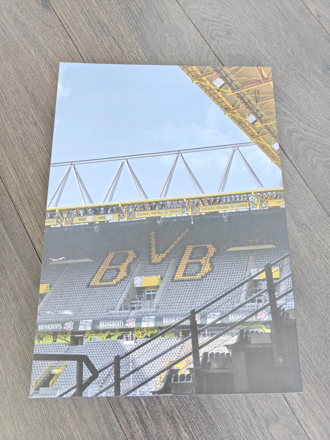Borussia Dortmund FIFA UEFA book (new) ⚽ - photo 2