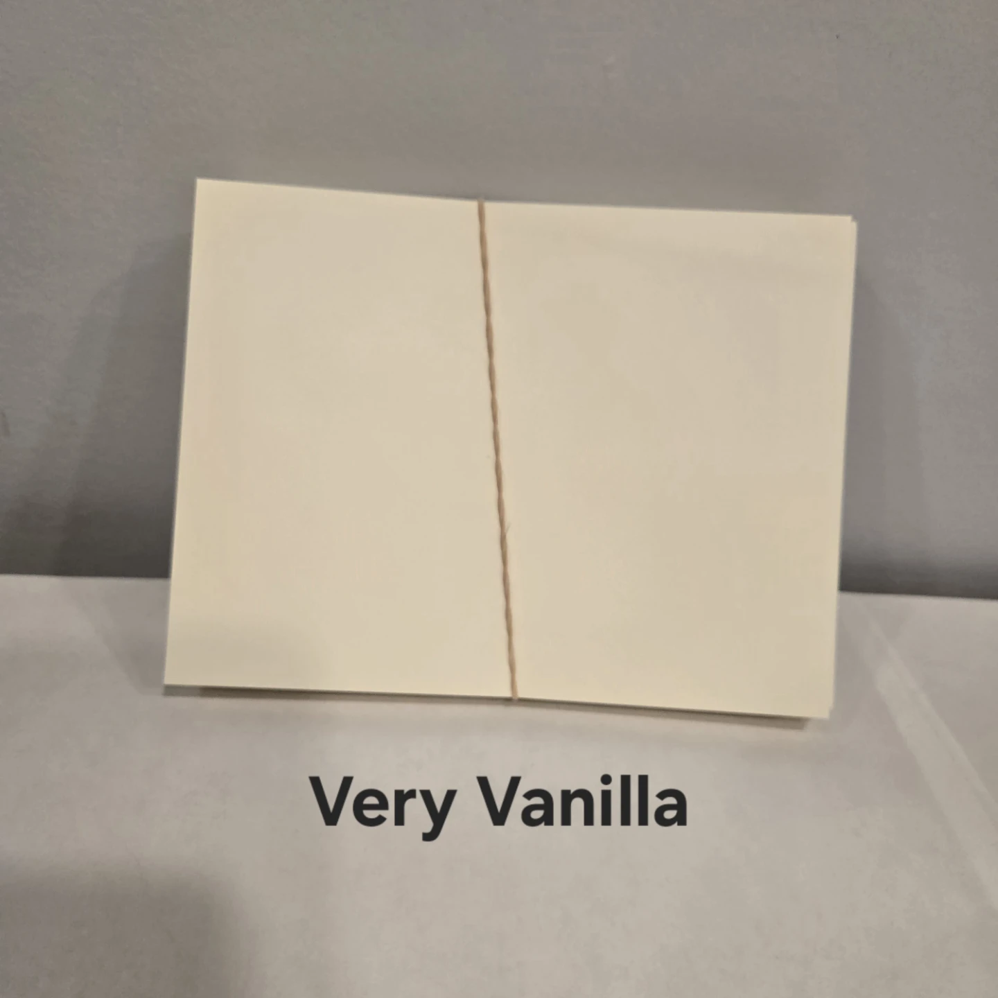 Stampin' Up Medium Envelopes - photo 3