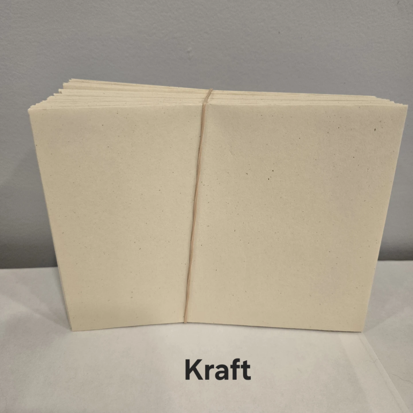 Stampin' Up Medium Envelopes - photo 4