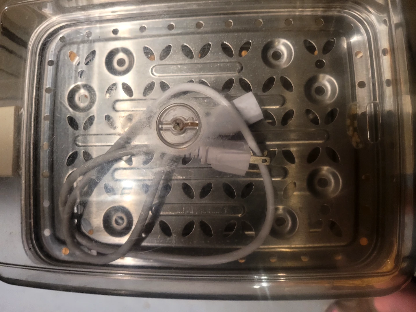 Little Bear Electric Steamer - photo 2