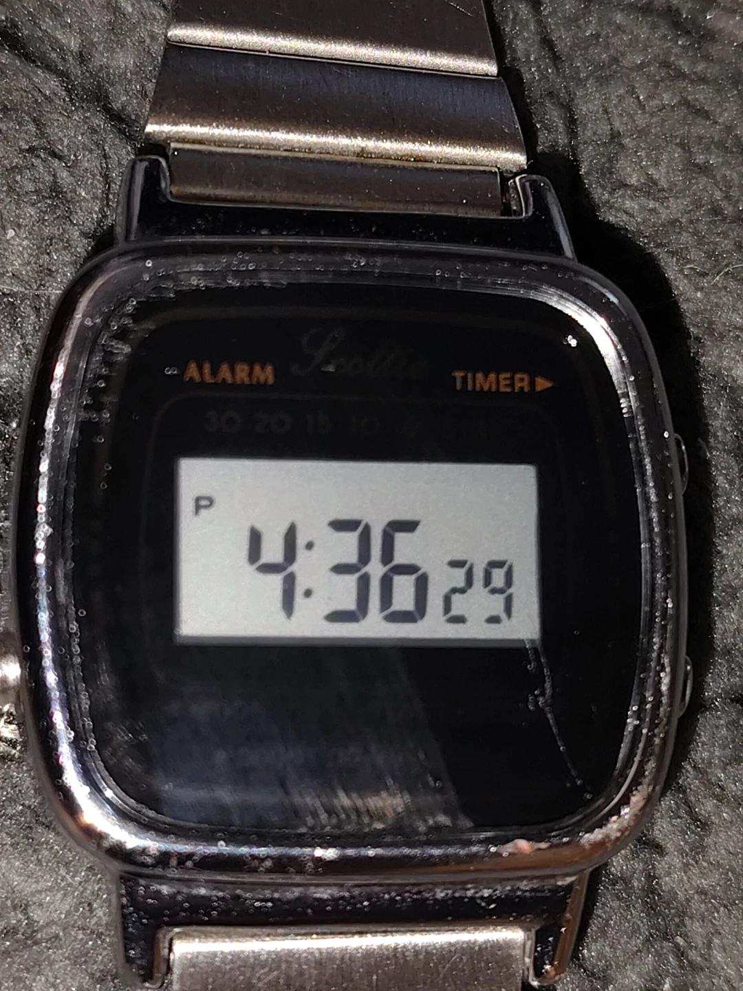 Scottie 1901 reloj