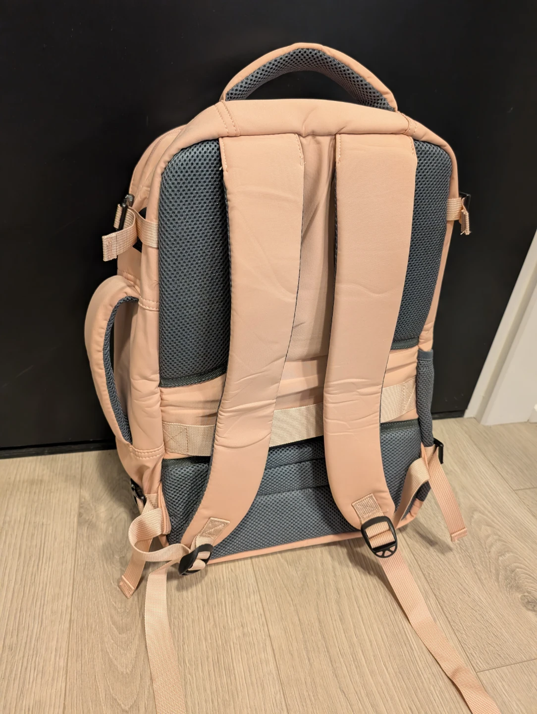 Taygeer Pink Backpack