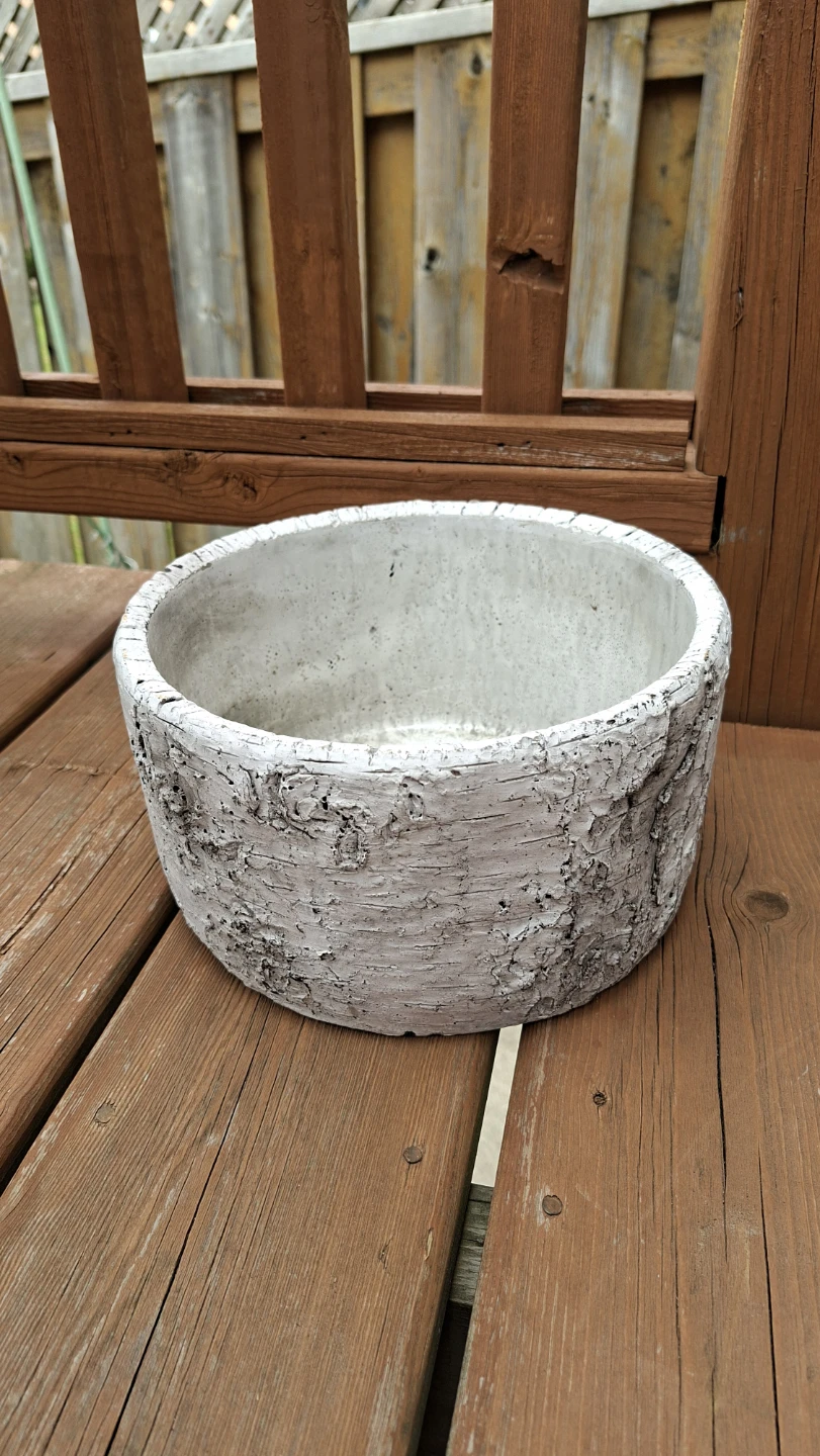 White Concrete Birch Bark Planter Pot