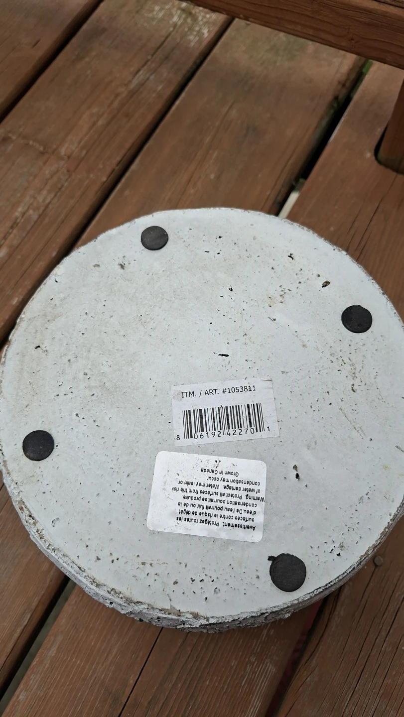 White Concrete Birch Bark Planter Pot - photo 2