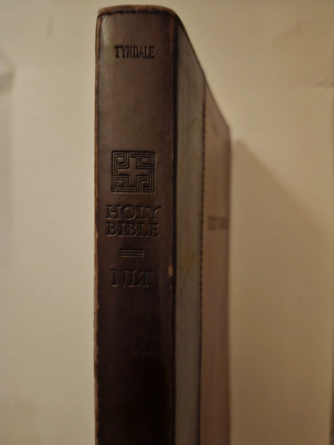 Holy Bible, brown, Slimline, Gold edges, Ribbon marker, leather - photo 3