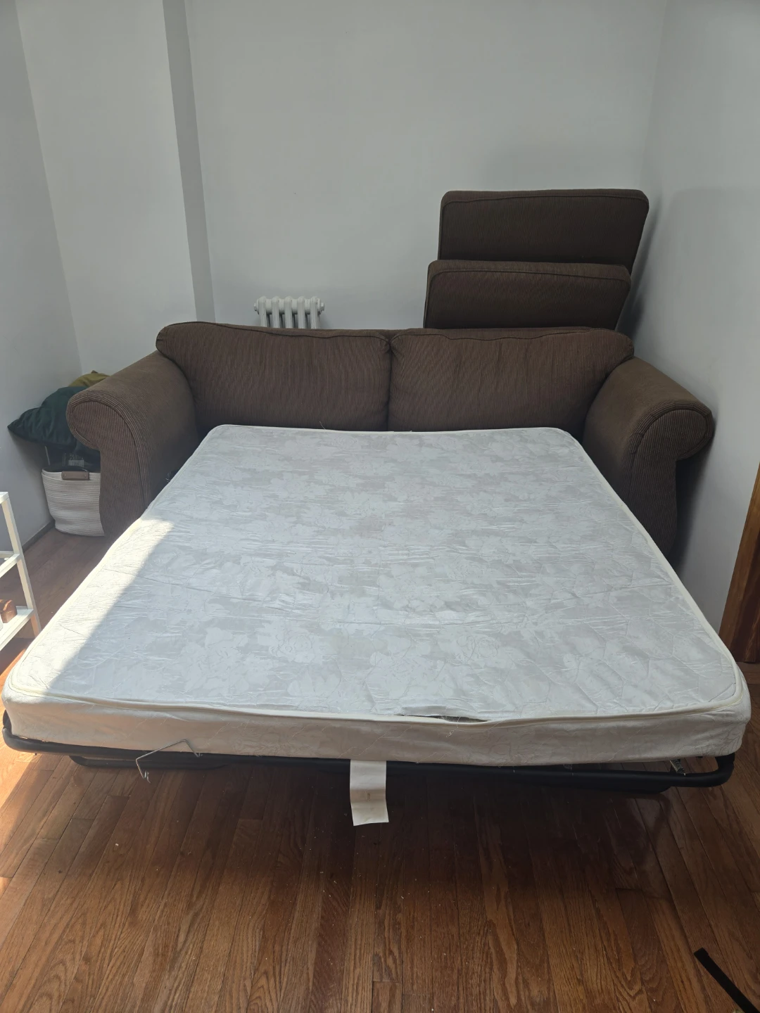 Sleeper couch from Raymour and Flanigan