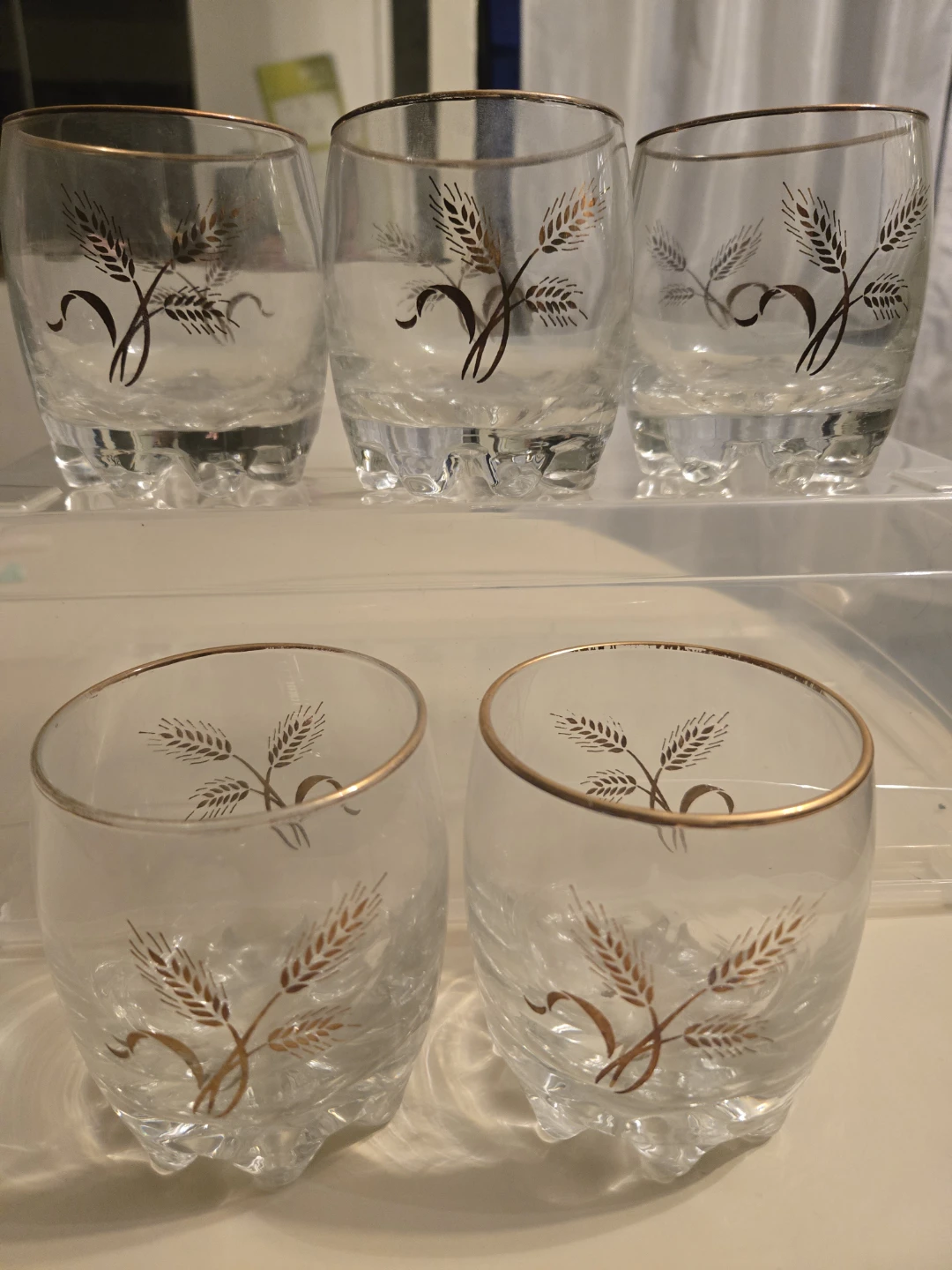 ⚽️ Set of 5 Vintage Wheat Design Glasses with Gold Rim