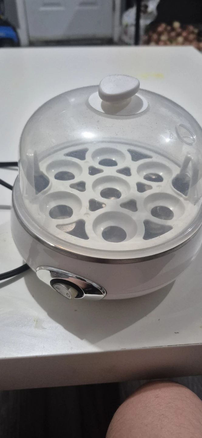 Electiric egg boler