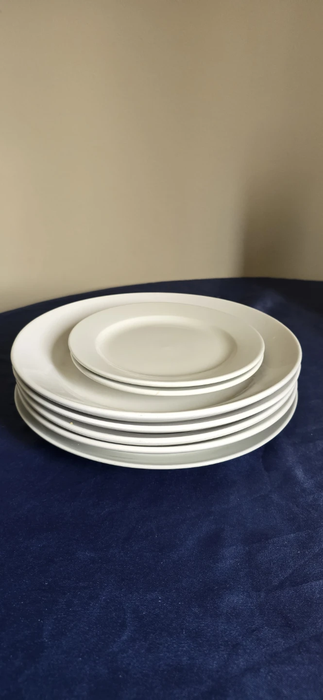 Arcoroc World Professional Porcelain Plates - Set of 5