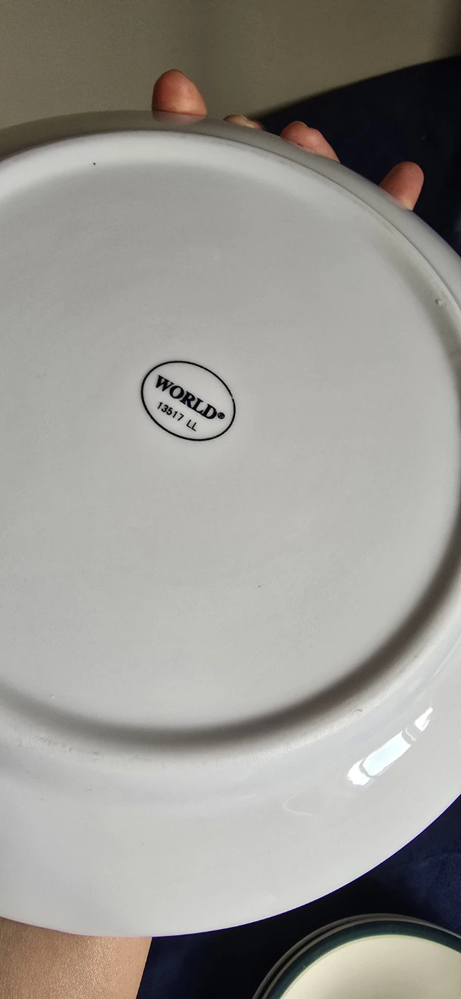 Arcoroc World Professional Porcelain Plates - Set of 5 - photo 3