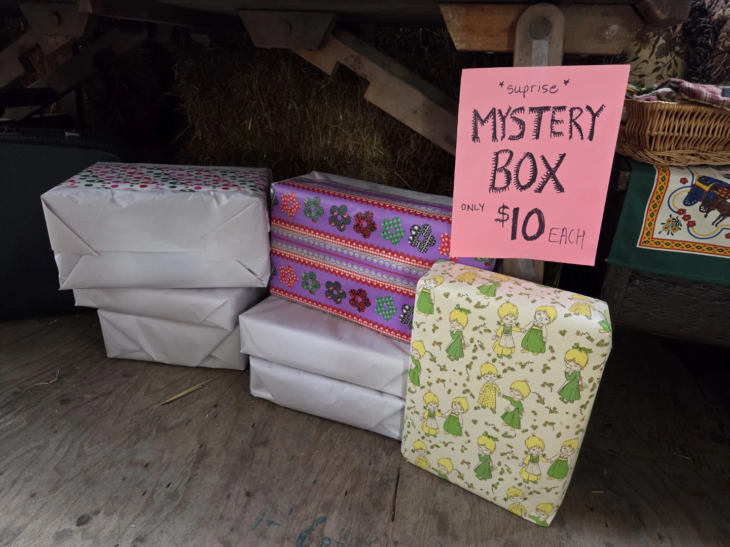 Surprise Mystery Box - $10 Each