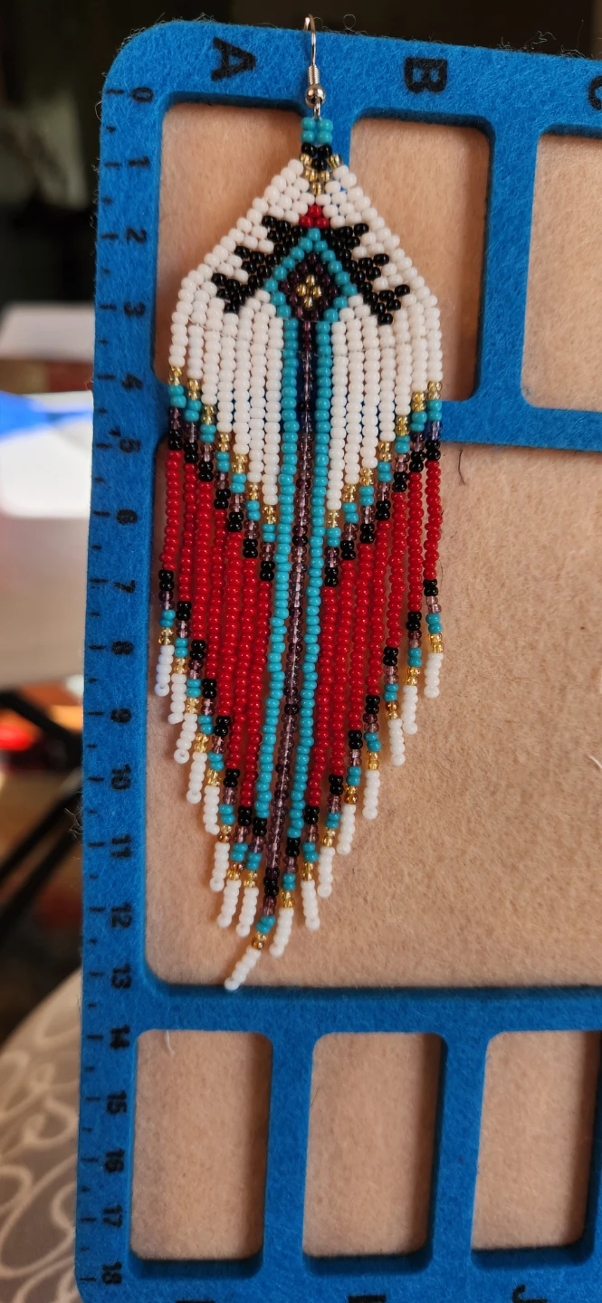 Earrings jewelry