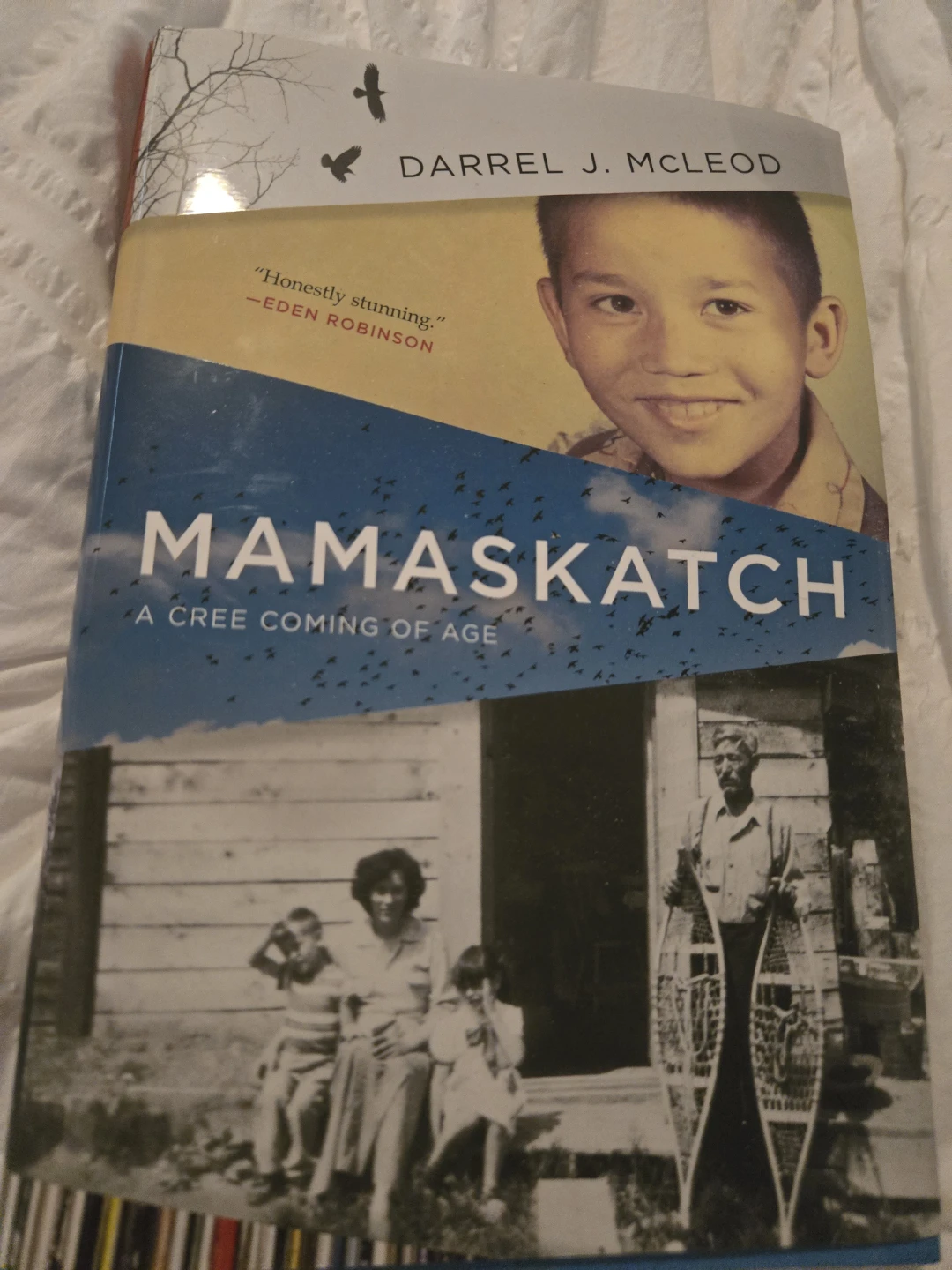 Mamaskatch: A Cree Coming of Age by Darrel J. McLeod