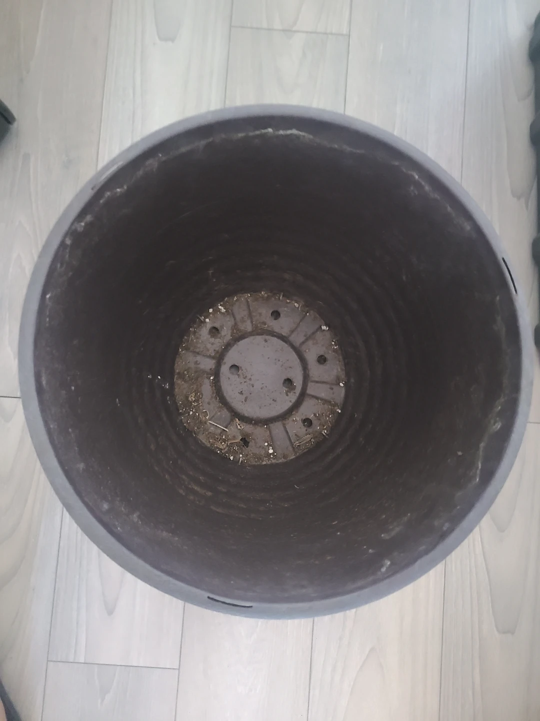 Large Plant Pots - photo 2