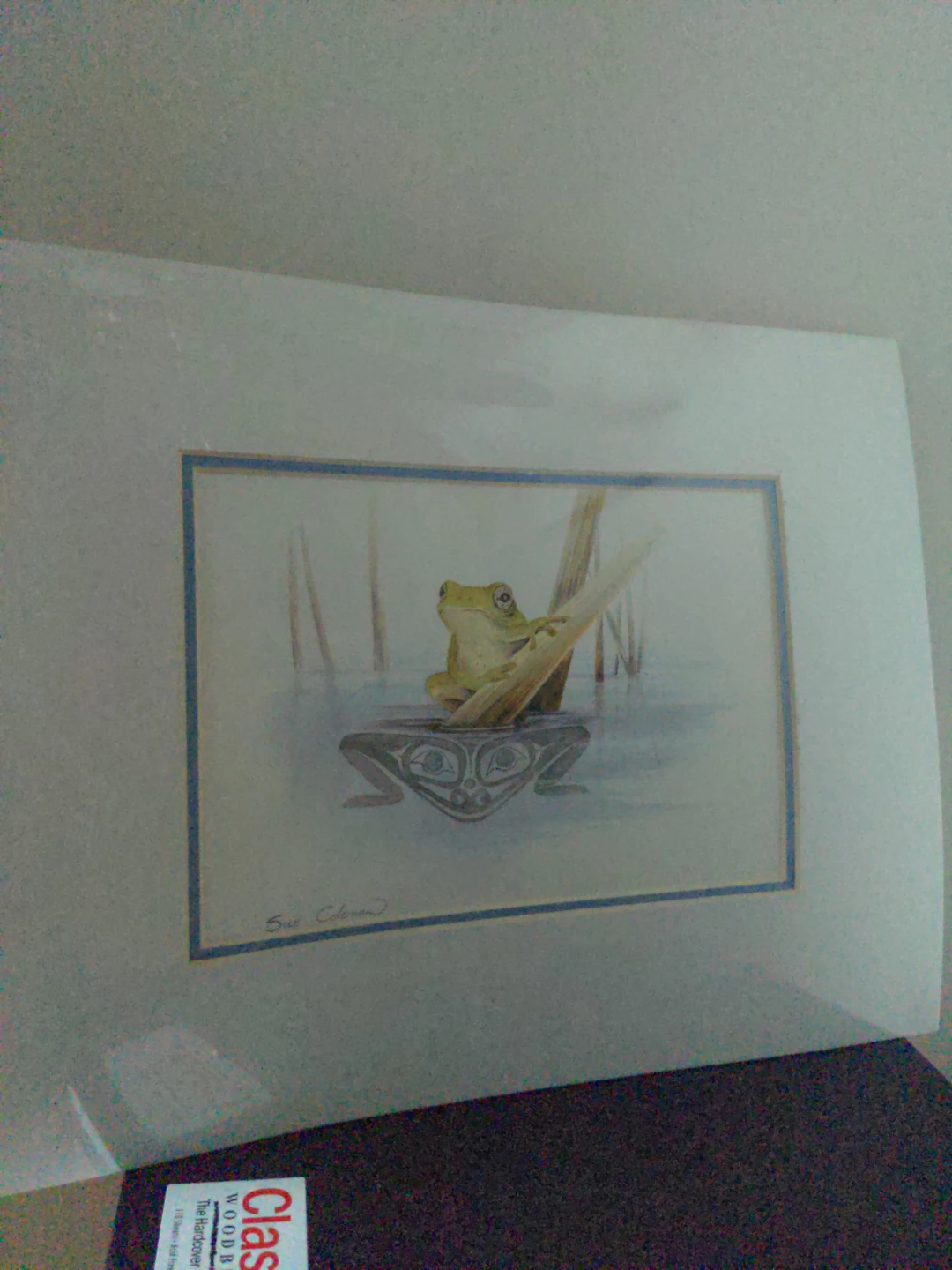 Native Canadian Print The Frog⚽