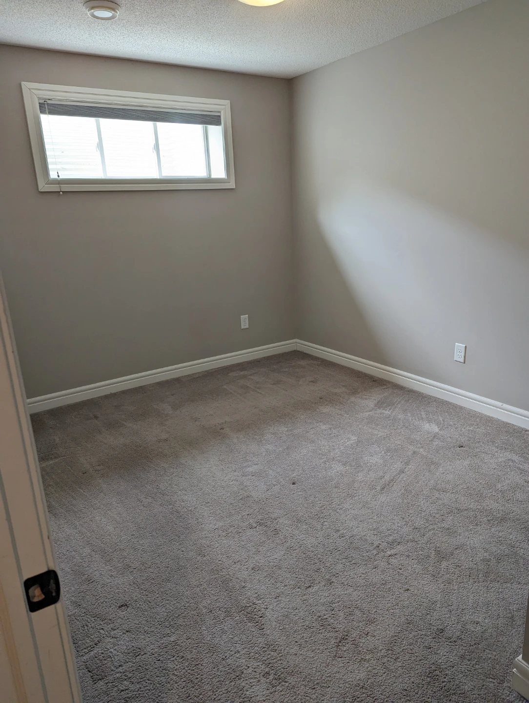 Basement Space 1 Bed 1 Bath - photo 4
