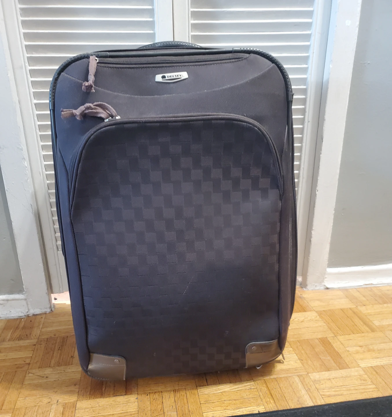 Delsey Travel Luggage