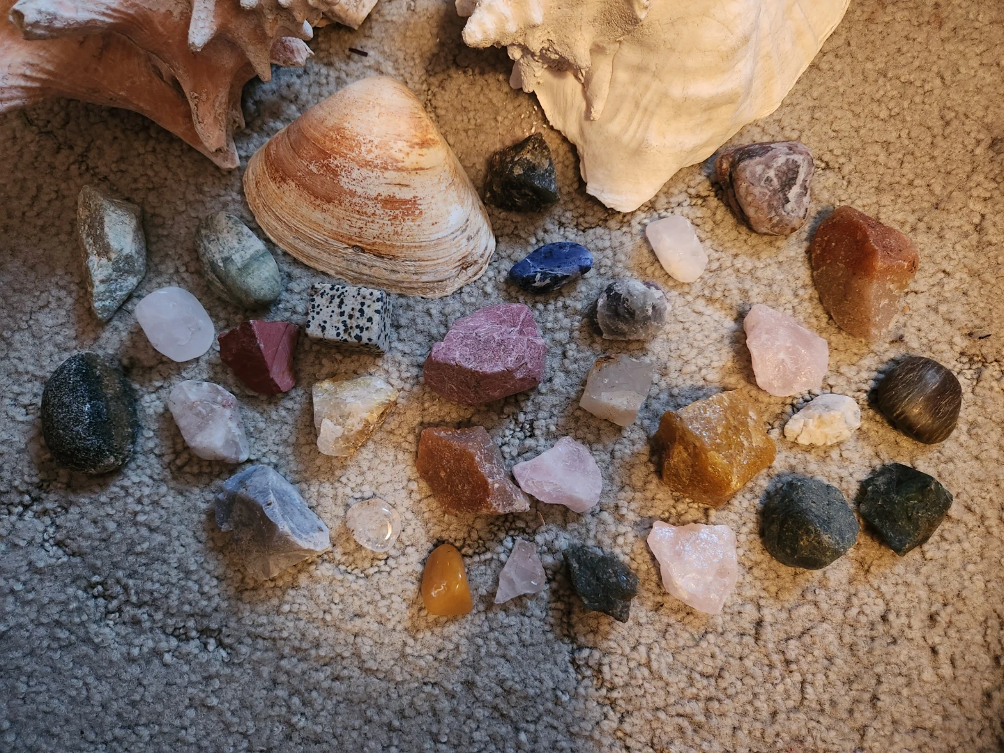 Assorted Seashells and Rocks Collection - photo 2