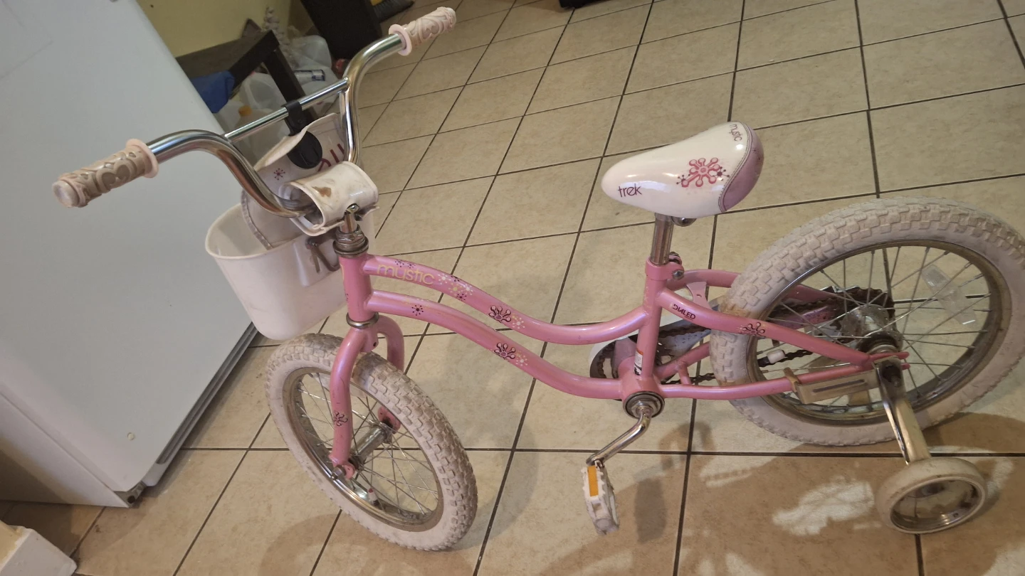 Pink Trek Kids Bike with Training Wheels