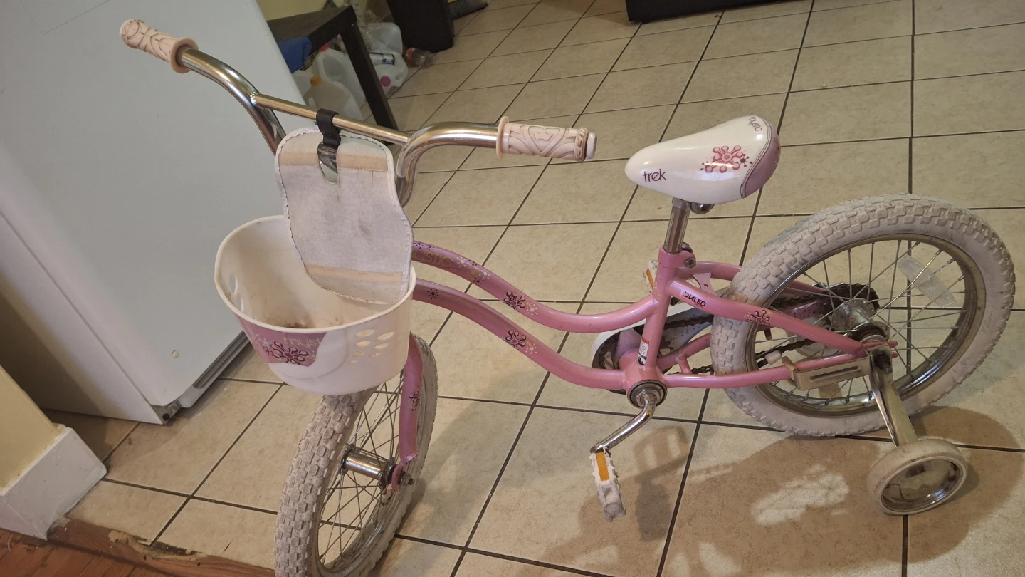 Pink Trek Kids Bike with Training Wheels - photo 3