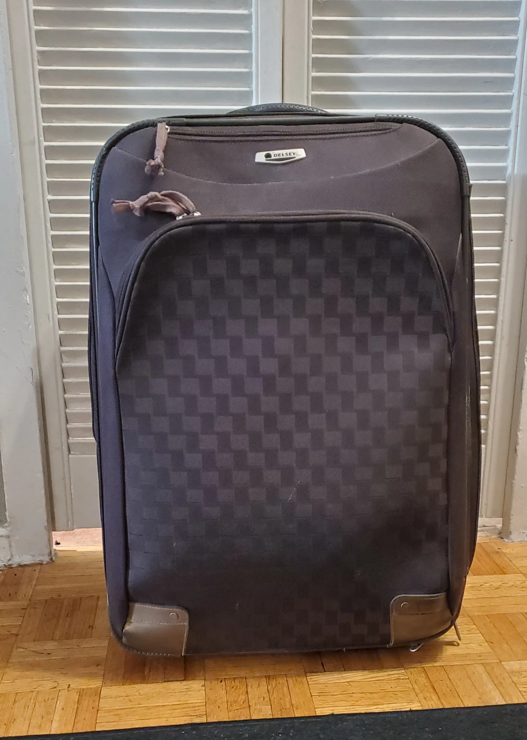 Delsey Luggage