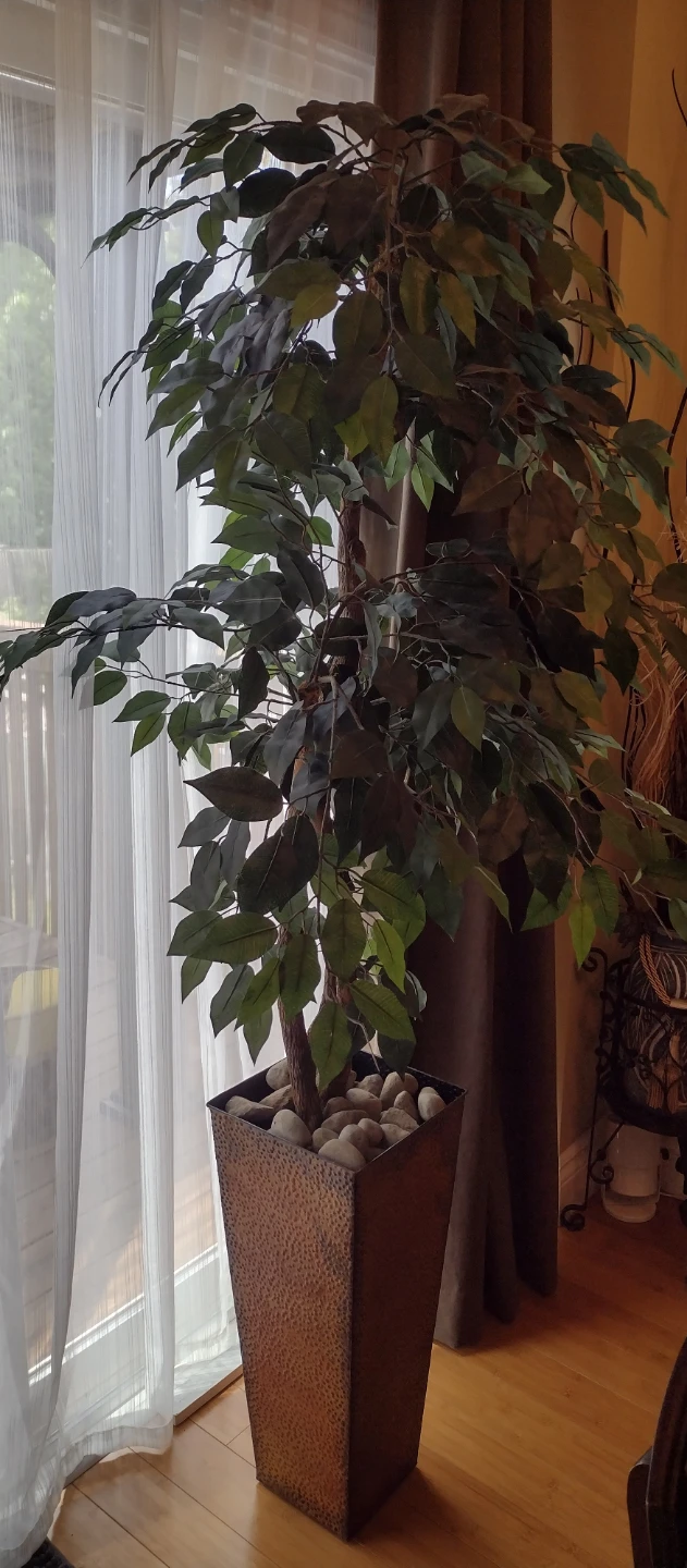 Artificial Ficus Tree in Decorative Pot - photo 3