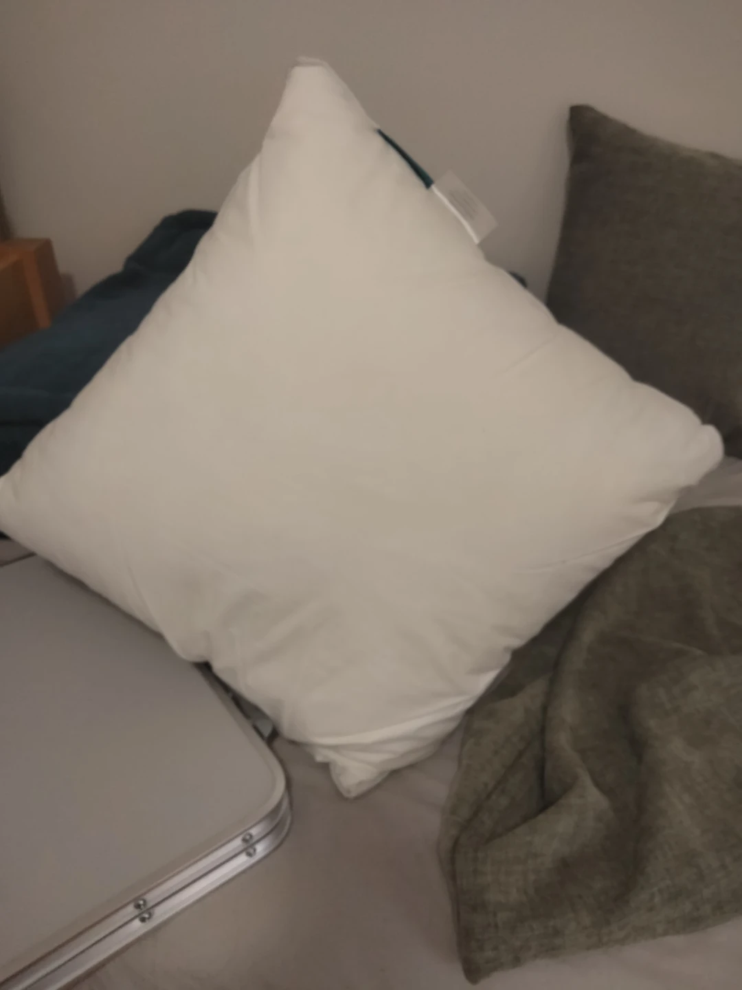 2 Throw pillow inserts and cover - photo 2