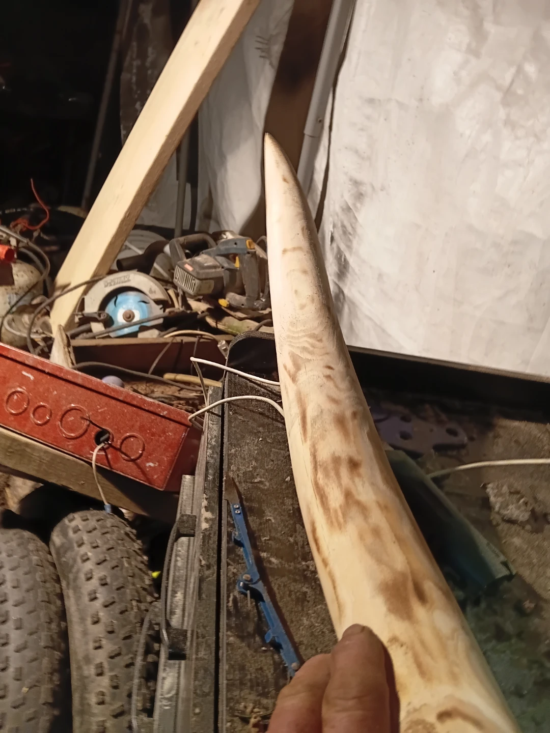 Decorative Horn - photo 3