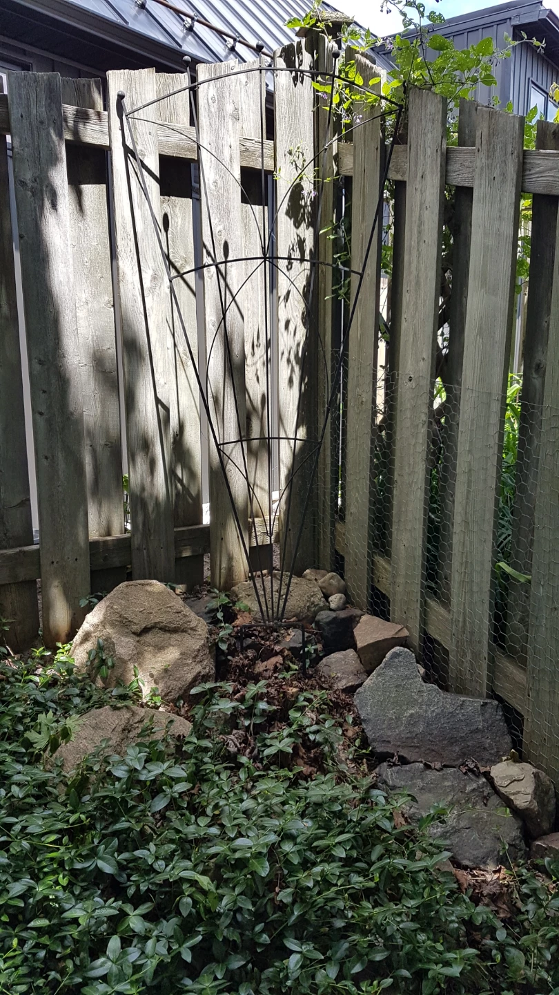 Metal Garden Trellis for Climbing Plants