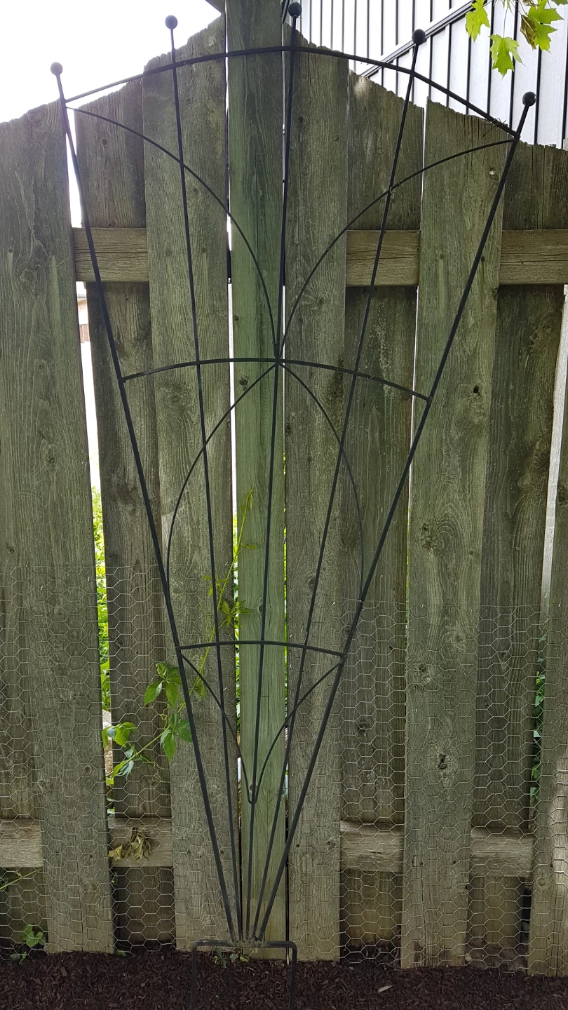 Metal Garden Trellis for Climbing Plants - photo 2