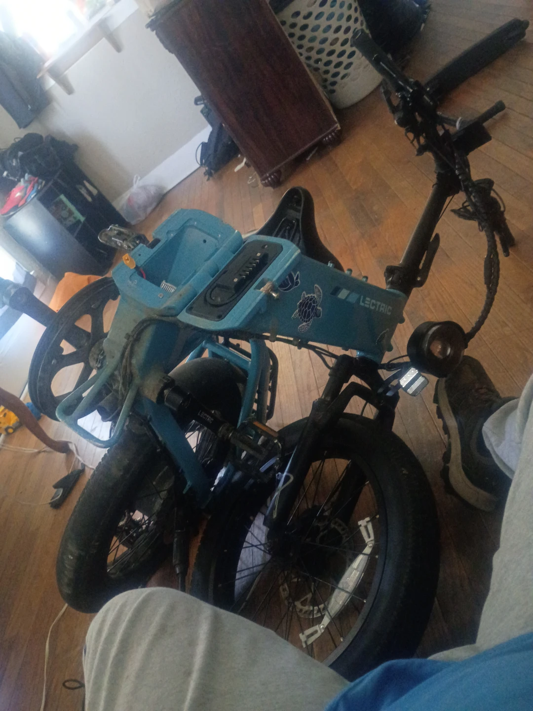 Lectric Electric Bike
