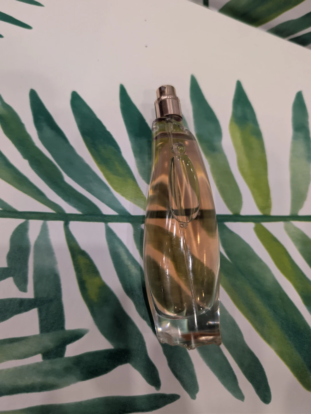 Donna Karan Cashmere blush eau parfum