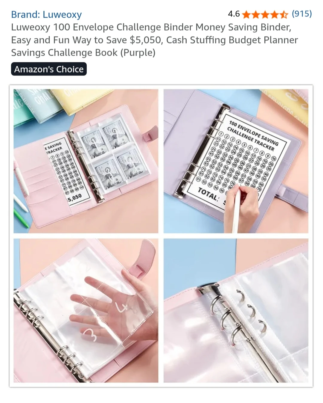 Luweoxy 100 Envelope Challenge (Money Saving Binder) - photo 5