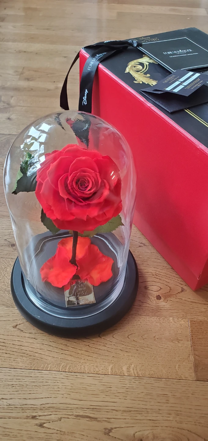 Forever & Rose London "Beauty and the Beast"