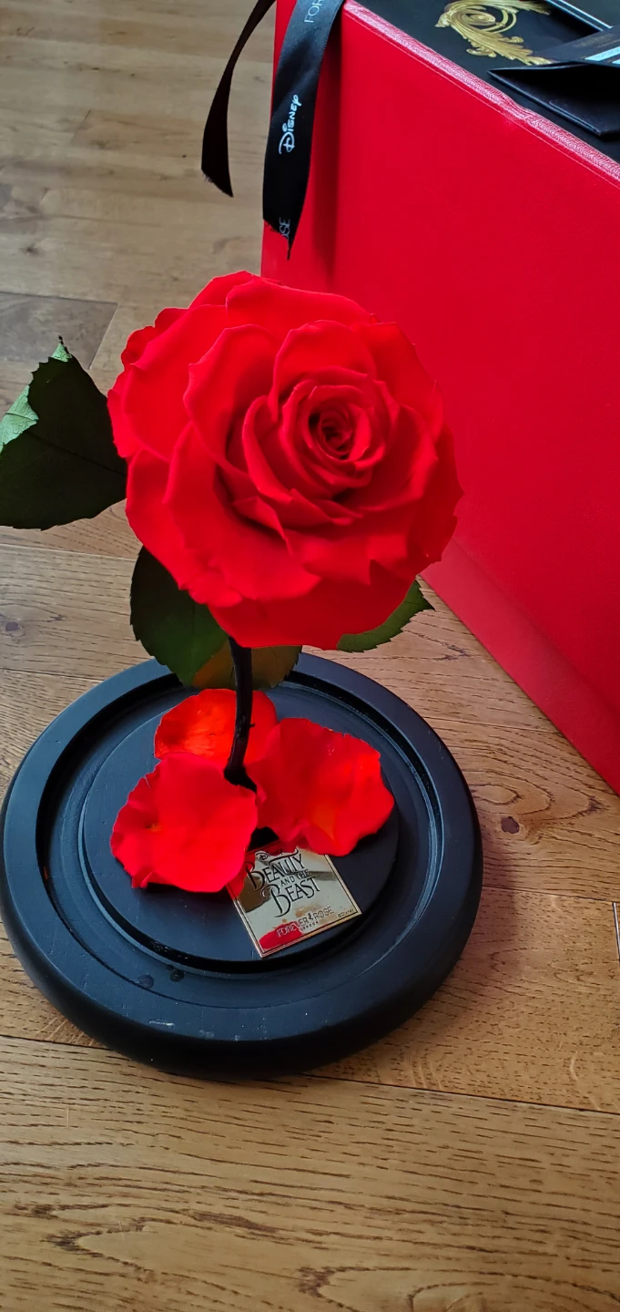 Forever & Rose London "Beauty and the Beast" - photo 2