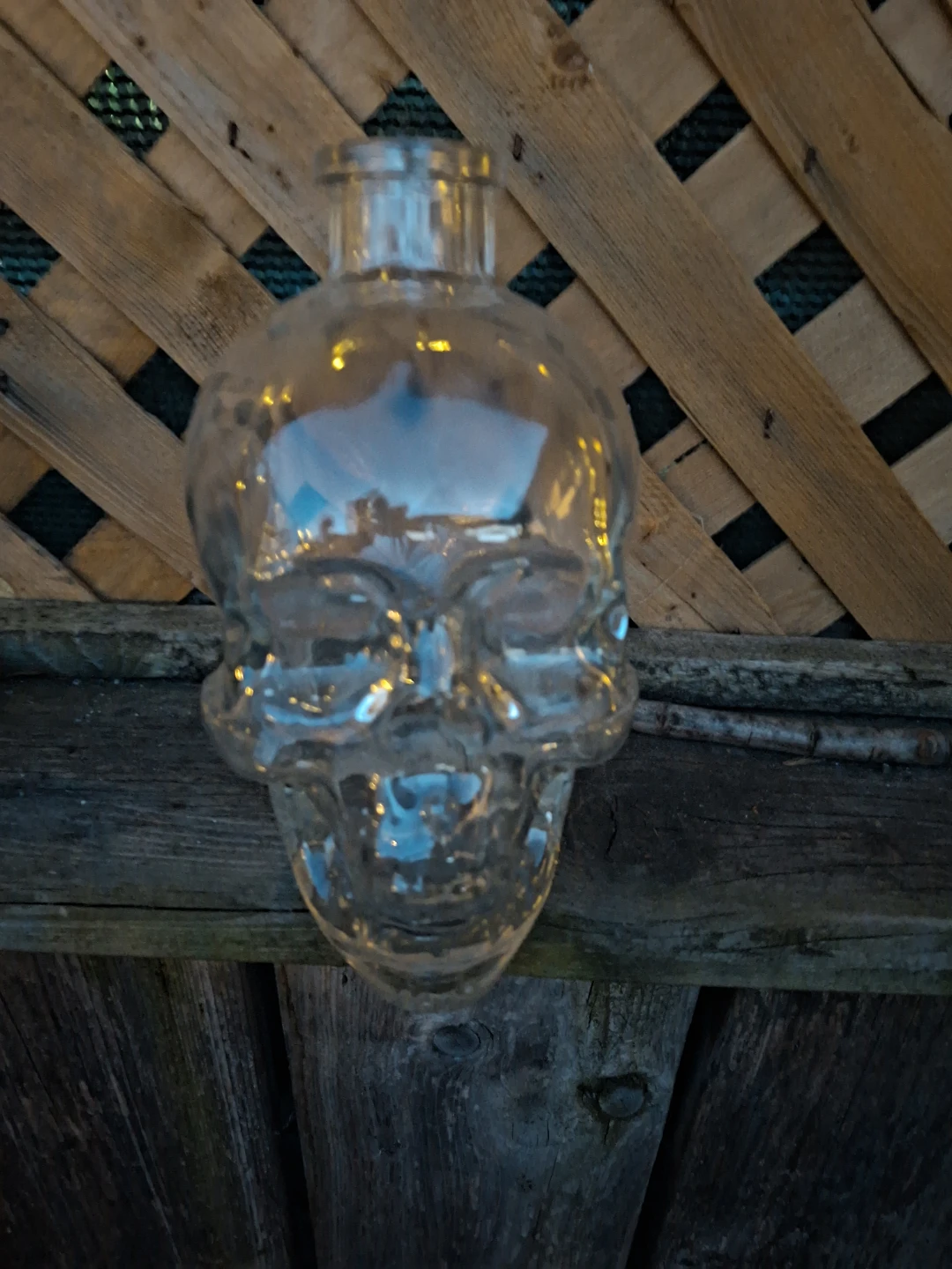 Glass Skull Bottle