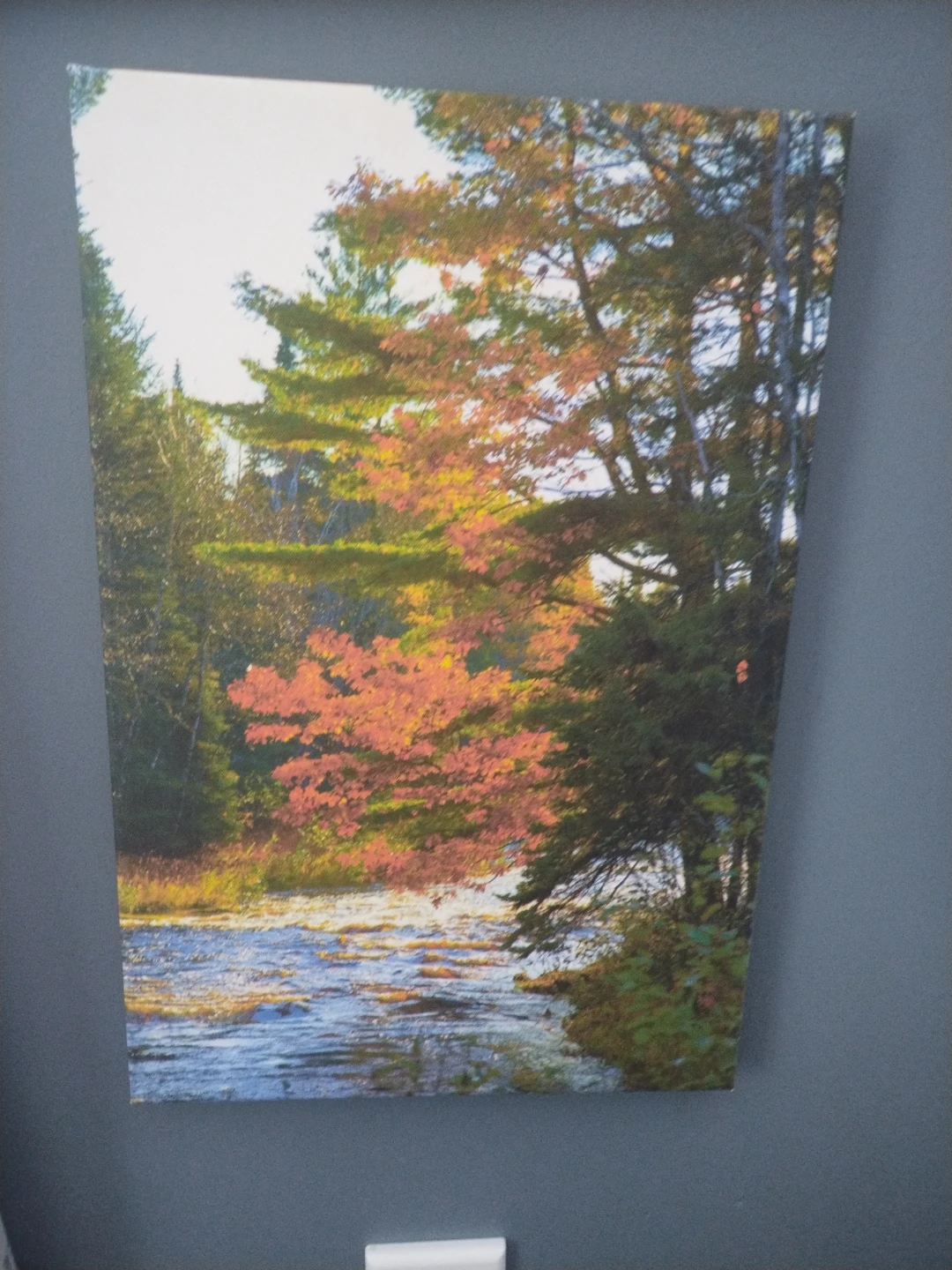Autumn River Landscape Canvas Print ⚽