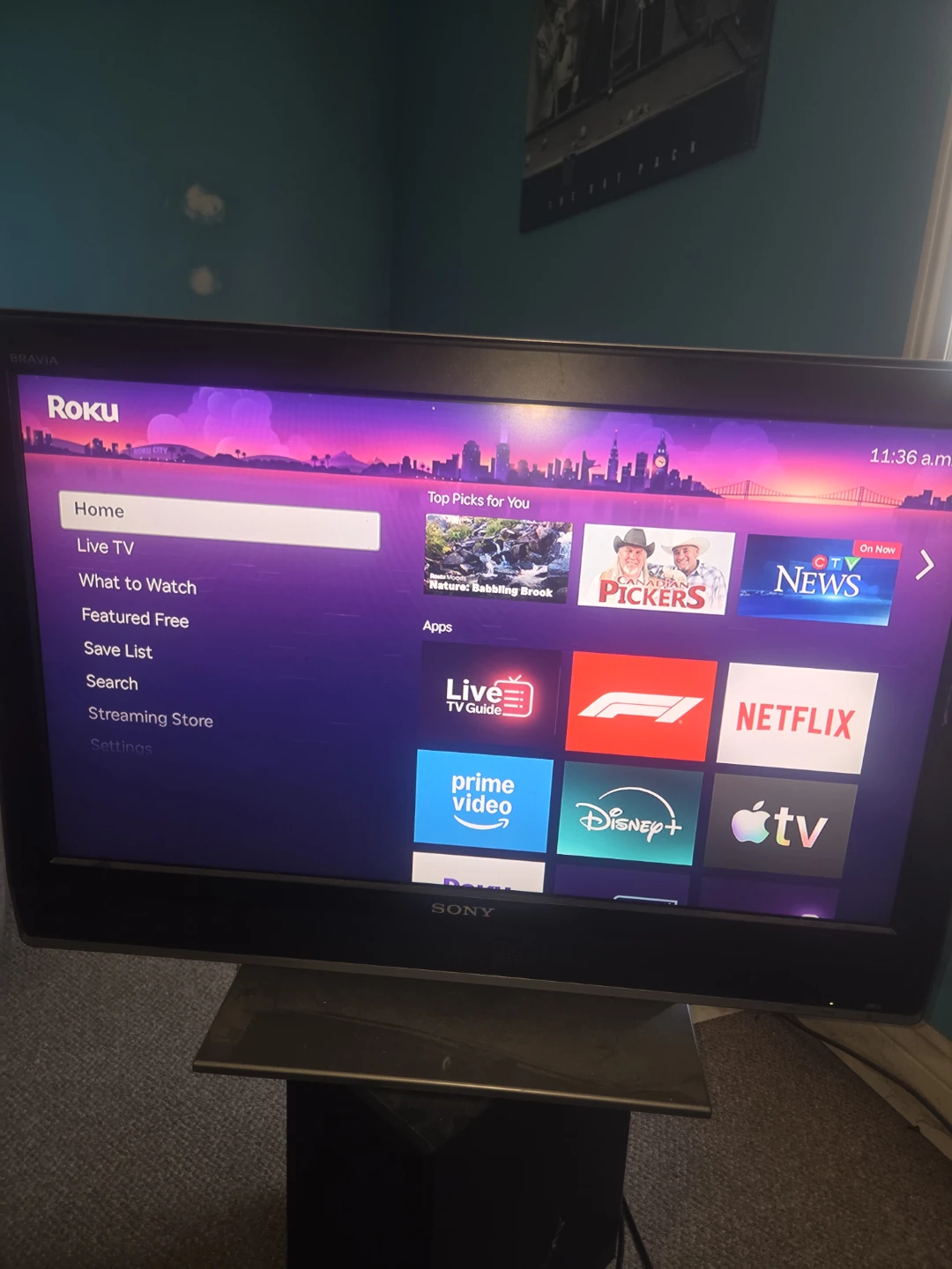 Sony BRAVIA KDL-32M3000 LCD Digital Color TV