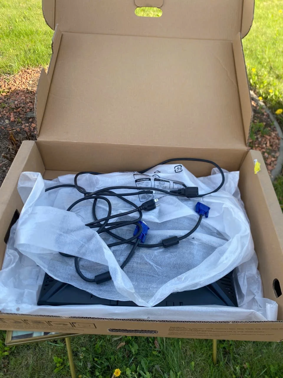 Dell Monitor