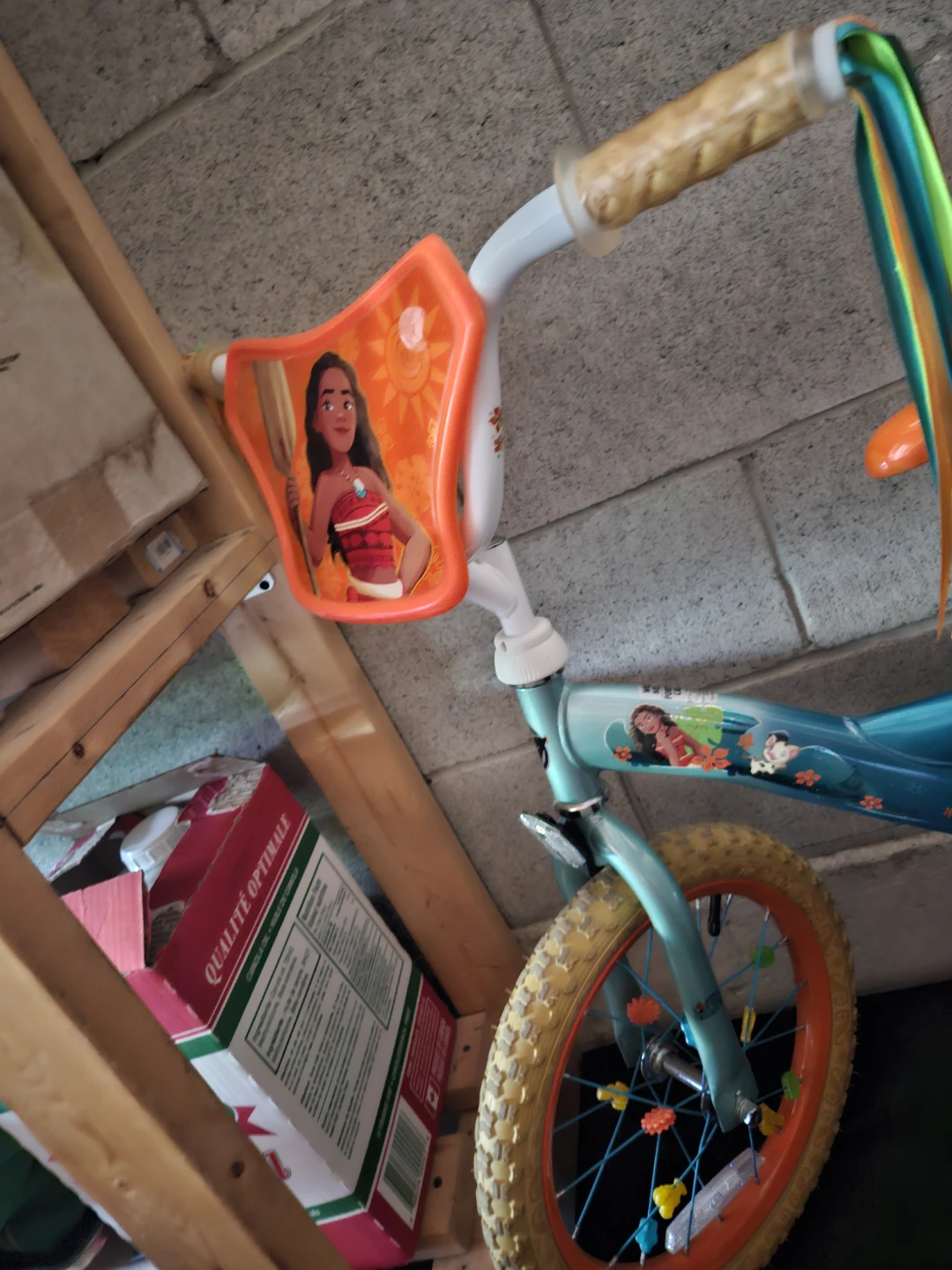 Kids Bike with Moana Theme