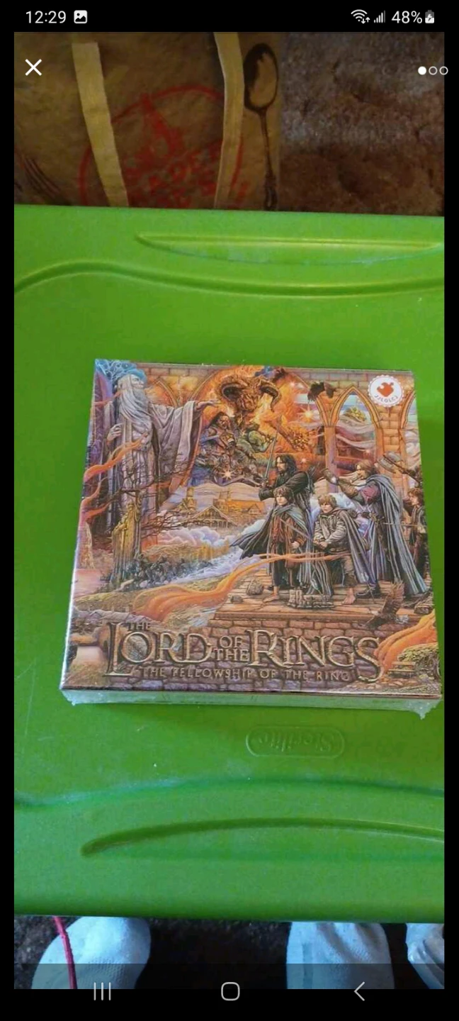 The Lord of the Rings: The Fellowship of the Ring book